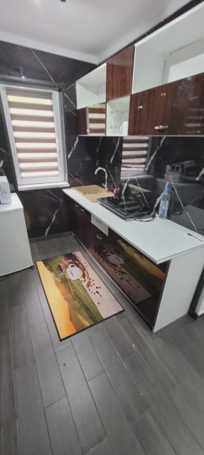 Andi 2-Apartament Băile Herculane エクステリア 写真