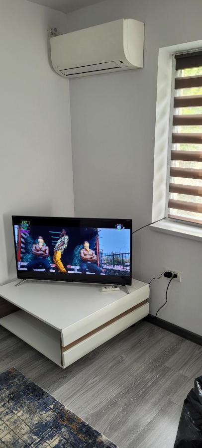 Andi 2-Apartament Băile Herculane エクステリア 写真