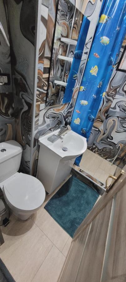 Andi 2-Apartament Băile Herculane エクステリア 写真