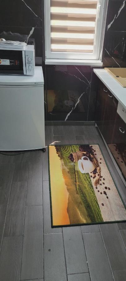 Andi 2-Apartament Băile Herculane エクステリア 写真